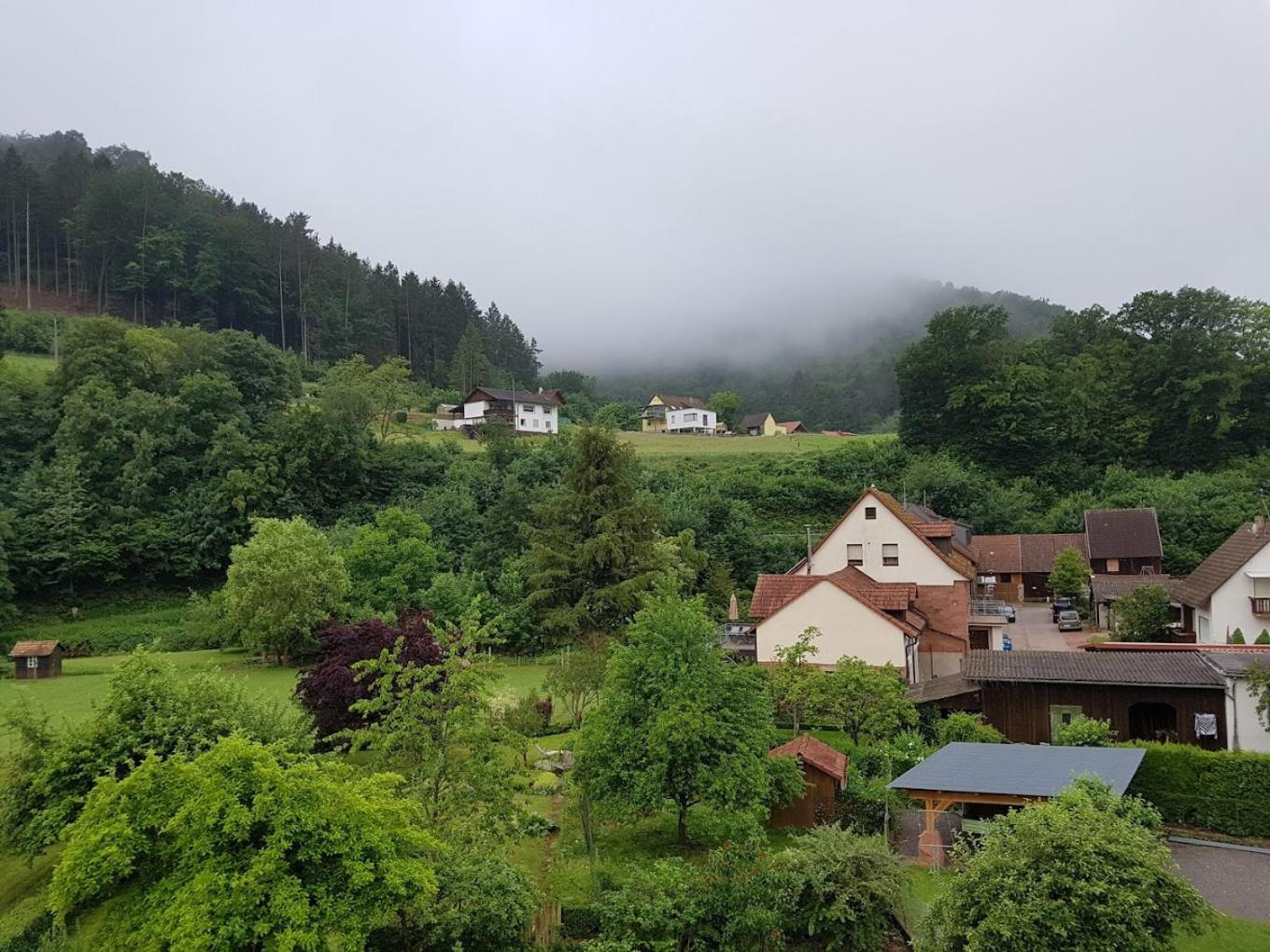 Landhotel Zur Wegelnburg Schönau Exterior foto